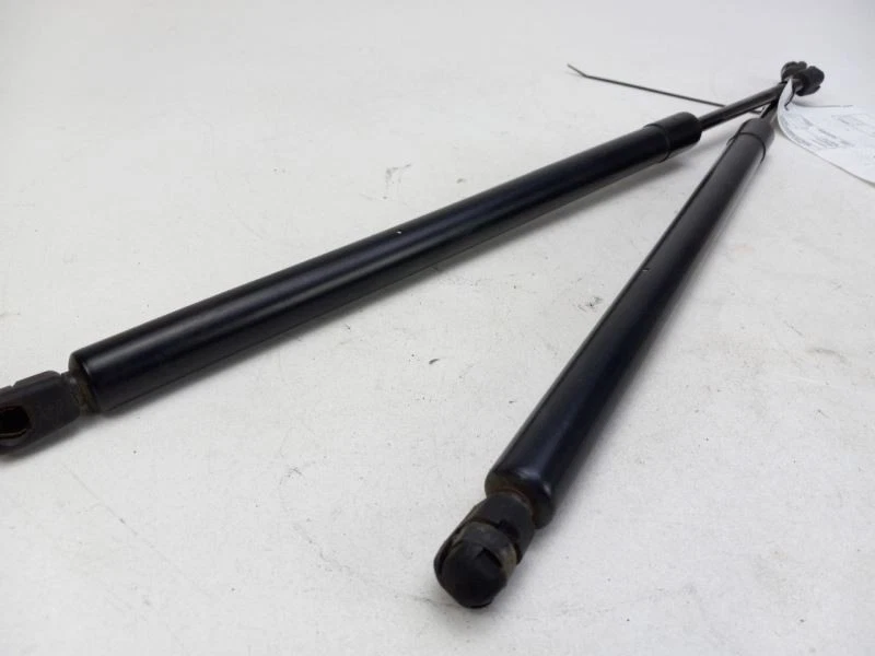 Puntales de puerta trasera Ford Expedition 2003-2006 Foto 2 de 4