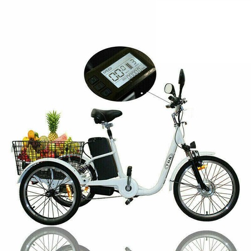 48V250W Electric Bike eBike Bicycle 