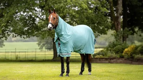LeMieux Arika Ripstop 0g Lightweight Light Turnout Rug + Hood 600d 4'9"-7'3" - Picture 7 of 10