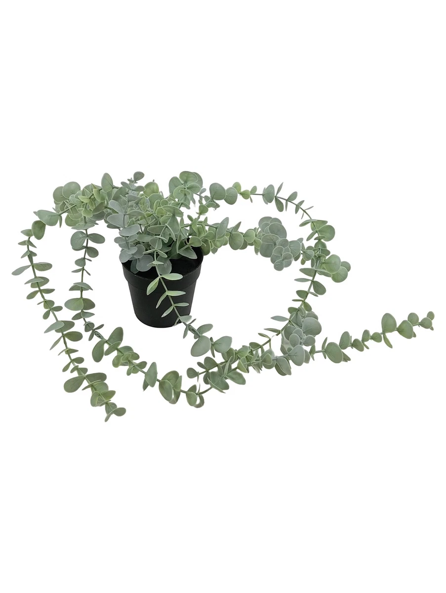 IKEA Dekoblumen & knstliche Pflanzen online kaufen | eBay.de