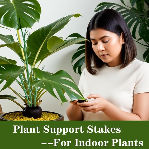 Monstera Plant Support Stakes, 8 Pack Stackable Garden Trellis Climbing Plant... - Picture 2 of 7