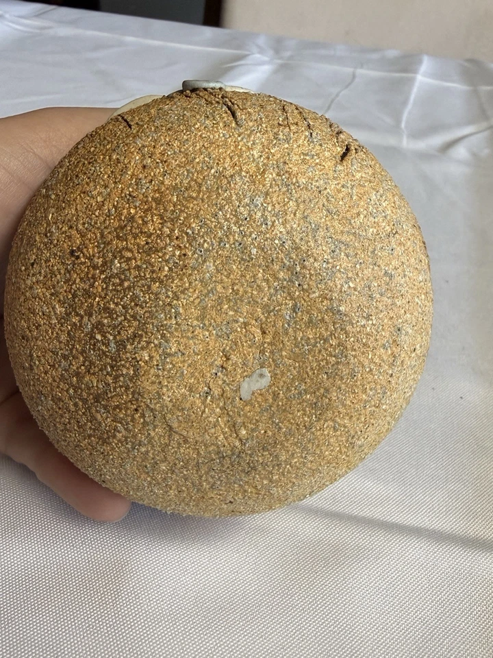 Jarrón de cerámica artística de estudio firmado “Carmen” – Gres texturizado coral orgánico Foto 3 de 4