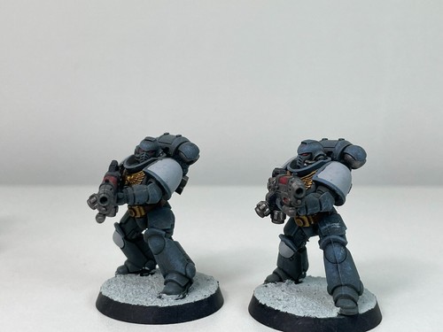 Hellblasters Fully Painted Space Wolves Space Marines Warhammer 40k 1590 - Picture 9 of 13