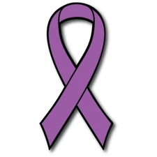 Leiomyosarcoma & Pancreatic Cancer Awareness Ribbon Magnet 3.5x7 inch CarDecal