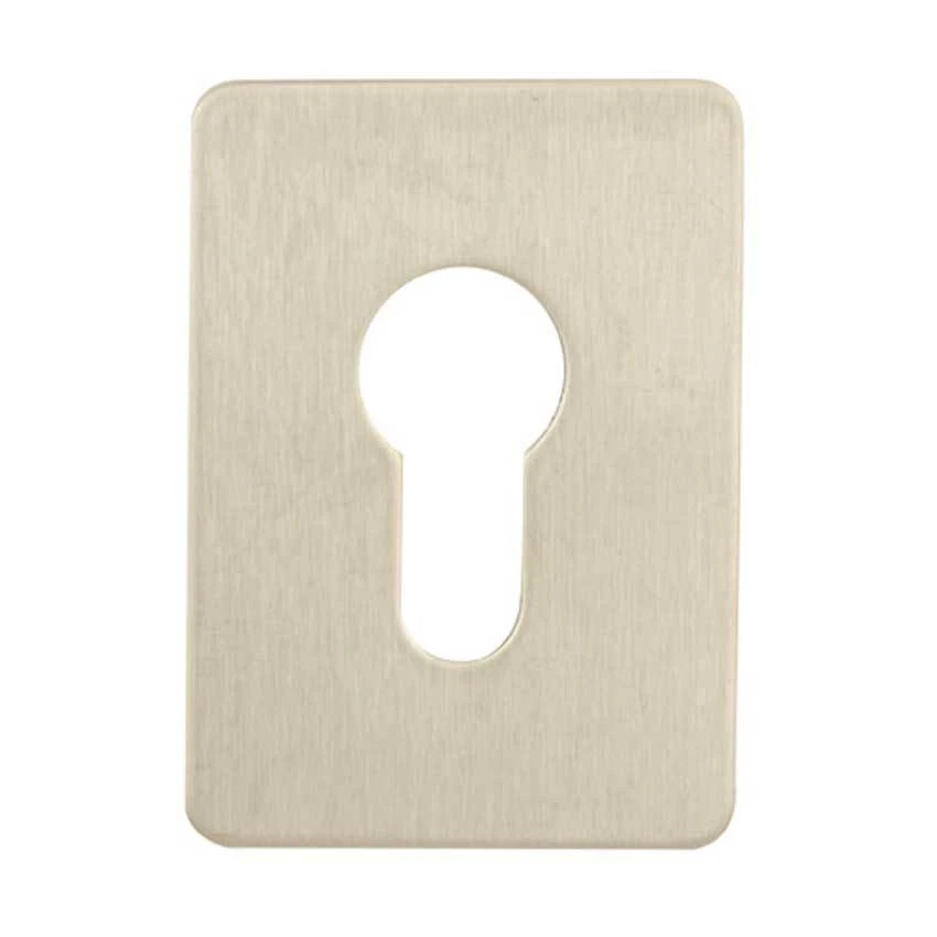 TSS Large Euro Escutcheon Stick On 65 x 47mm SA (TSSEURESCSA)
