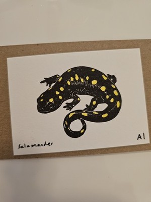 Salamander - Ana Anastasia Inciardi Mini Prints - Free Shipping!