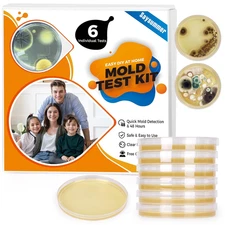 Mold Test Kit for Home Testing: 6 Counts DIY at Home Mold Test for Air Quality O