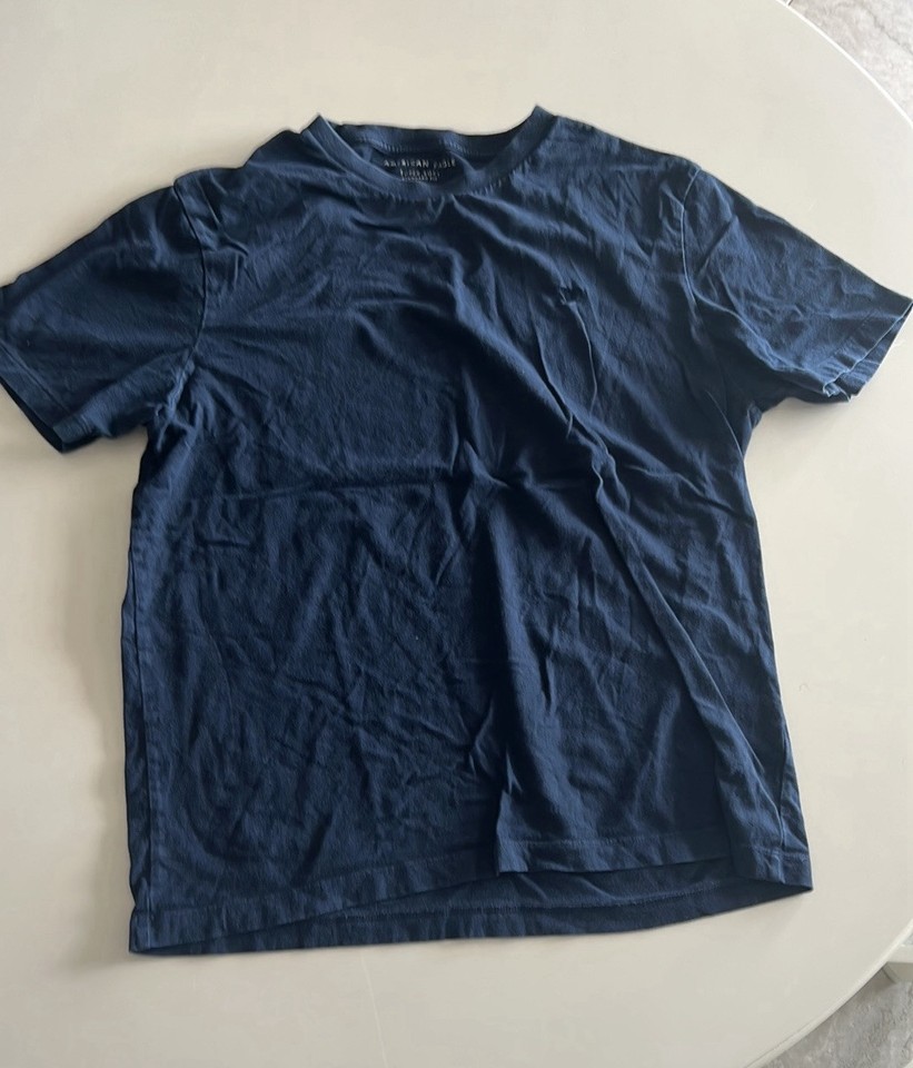 T-shirt American Eagle Homme - Taille L, Rose - Fit Standard, Coton - Neuf Avec étiquettes (NWT)