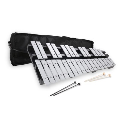 30 Notes Foldable Glockenspiel Xylophone, Percussion Instrument Kit for Begin...