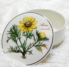 Villeroy & Boch Botanica Adonis Vernalis Candy Trinket Box Covered Dish with Lid