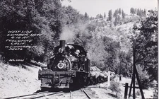 RPPC Tuolumne CA Railroad Lumber Logging Train California Real Photo Postcard