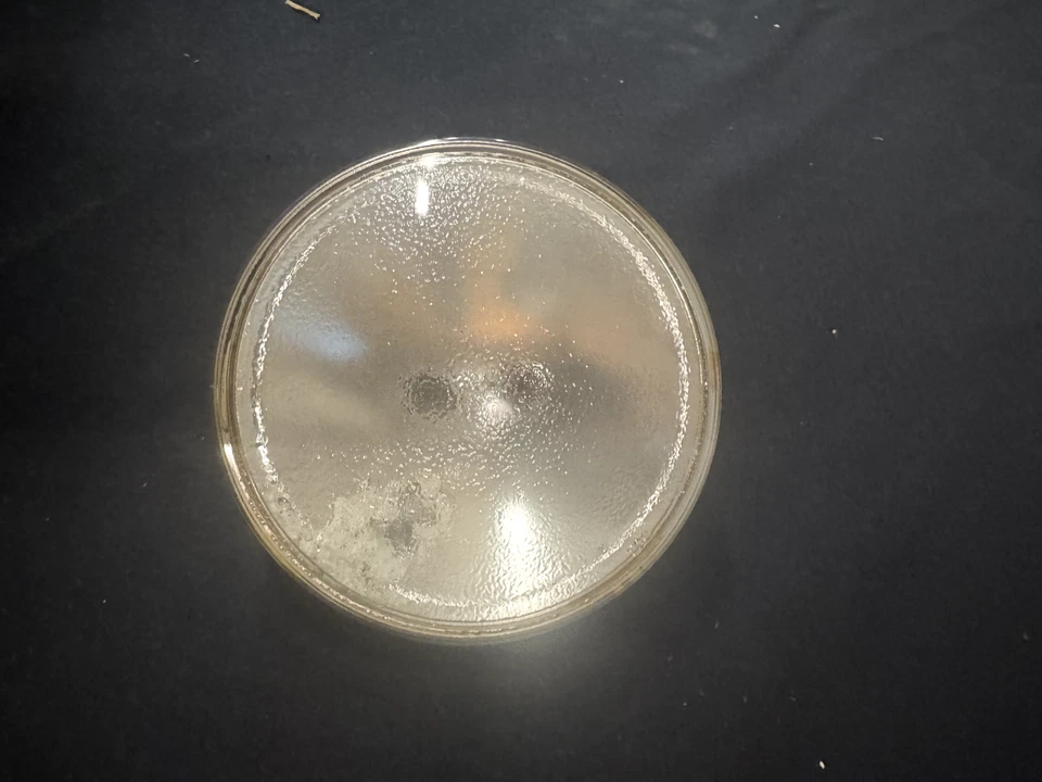 Sylvania 36PAR36/CAP/NSP 12V Screw Terminal (G53) Narrow Spot NEW 683602 - Image 3 of 4