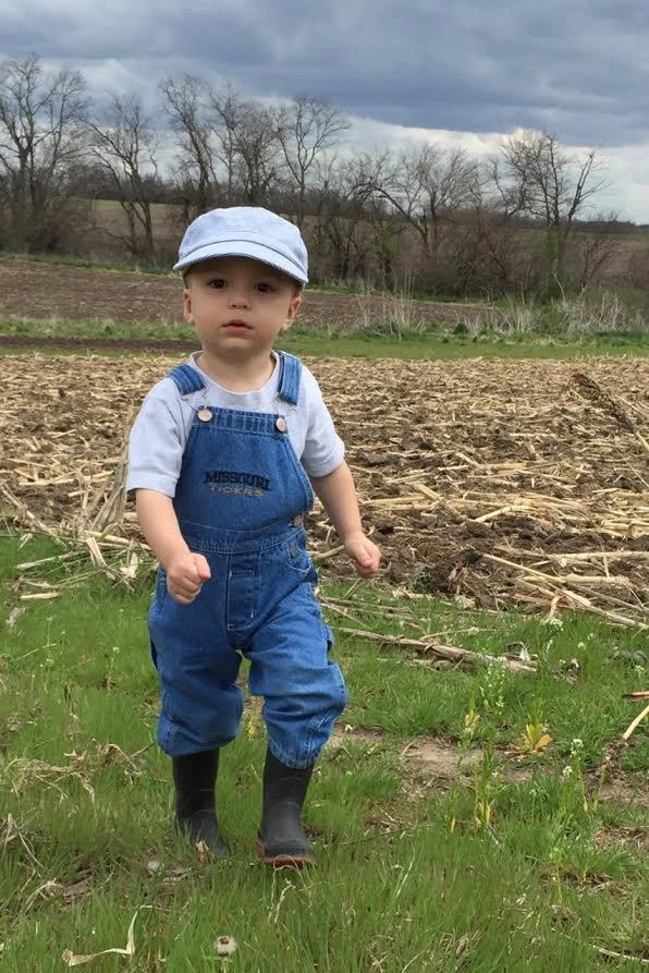 Palomitas de maíz cultivadas en casa - fresa/azul/blanco/seta/amarillo Foto 3 de 4