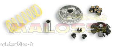 Variateur MALOSSI Multivar 2000 AIE MAGMAX 275 TGB X MOTION 250 Réf: 5113597