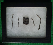 FABRIC & CORDAGE FRAGMENTS COUGAR MTN CAVE PERISHABLE ARTIFACTS OREGON ARROWHEAD