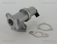 Triscan Agr-Ventil 8813 43002 FüR Hyundai Kia