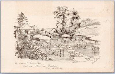 Lee Vintage Postkarte Scenic Fuchsia Glen Tea Gardens N Devon England