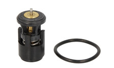 Thermostat Skoda FABIA