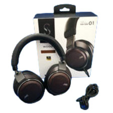 JVC HA-SW01 Wood Dome Hi-Res Headphones High-End Model Headband Wear