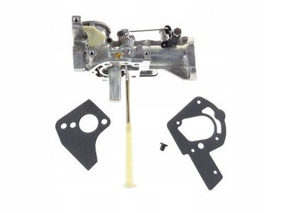 BRIGGS VERgaser 490533 495426 495951 498298 692784