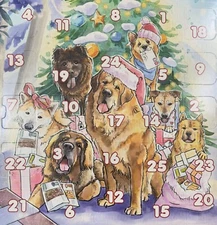 Advent Calendar Dog Treats