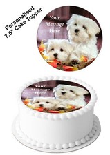 PERSONALISED Cake Topper Maltese Puppy Dog Animal Edible Icing Sheet 7-8" Circle