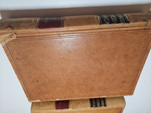 New Americanized Encyclopedia Britannica 1899, LEATHERBOUND Geo M Hill co., art - Foto 7 di 17