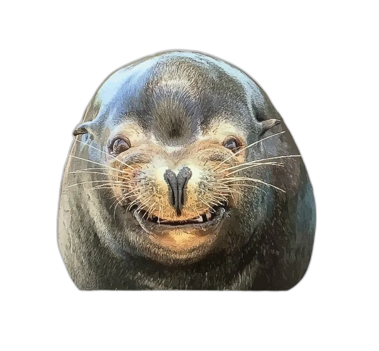 Seal Smile Sticker Decal