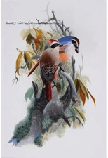 Chinese 100% real natural silk thread,su hand embroidery kits:birds tree 11.5"