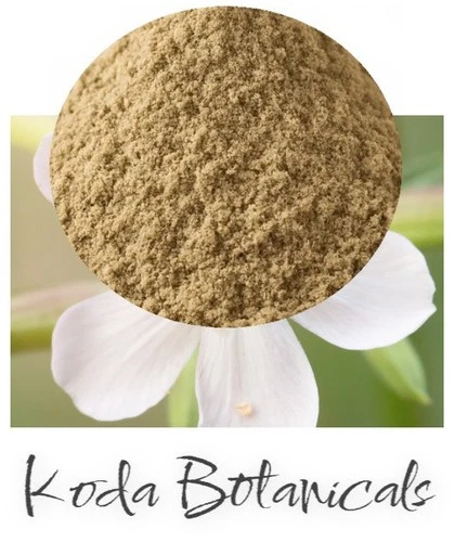 AFRICAN DREAM ROOT POWDER Herbal Dream Remedy PREMIUM GRADE Silene undulata