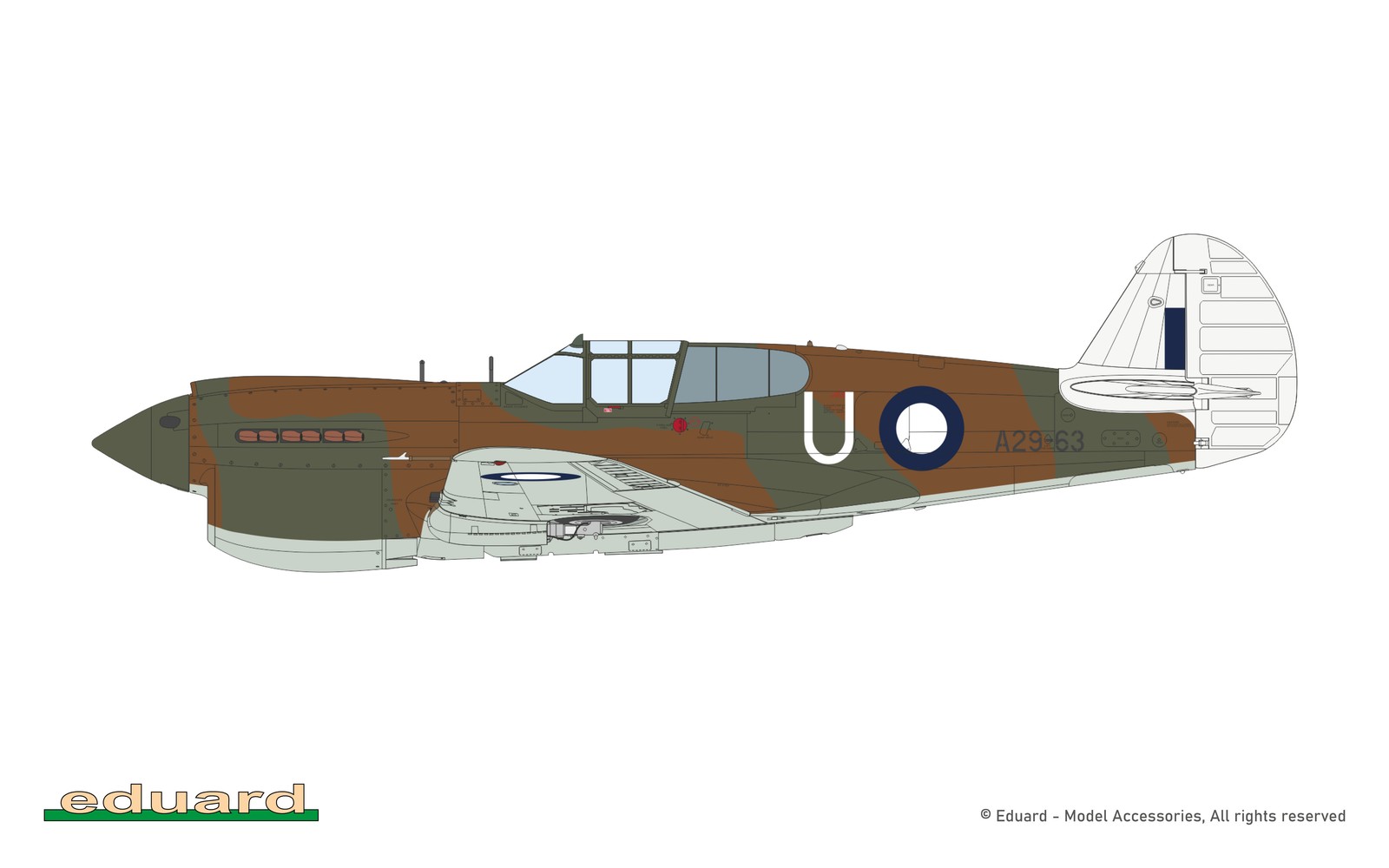 Eduard 1/48 Pacific Star P-40E Warhawk Dual Combo 11185