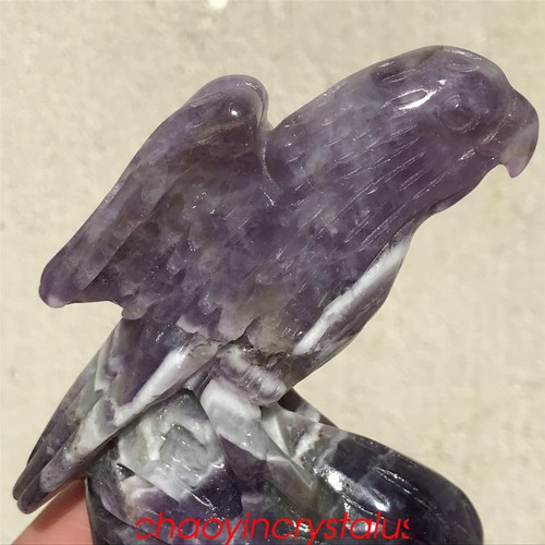0.24LB Natural Dreamy Amethyst parrot Skull Quartz Crystal Carved XK1421-05-A - Picture 7 of 11
