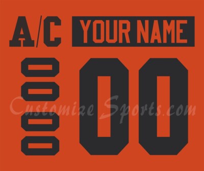 Philadelphia Flyers Customized Number Kit for 2019 Stadium Series Uniform
