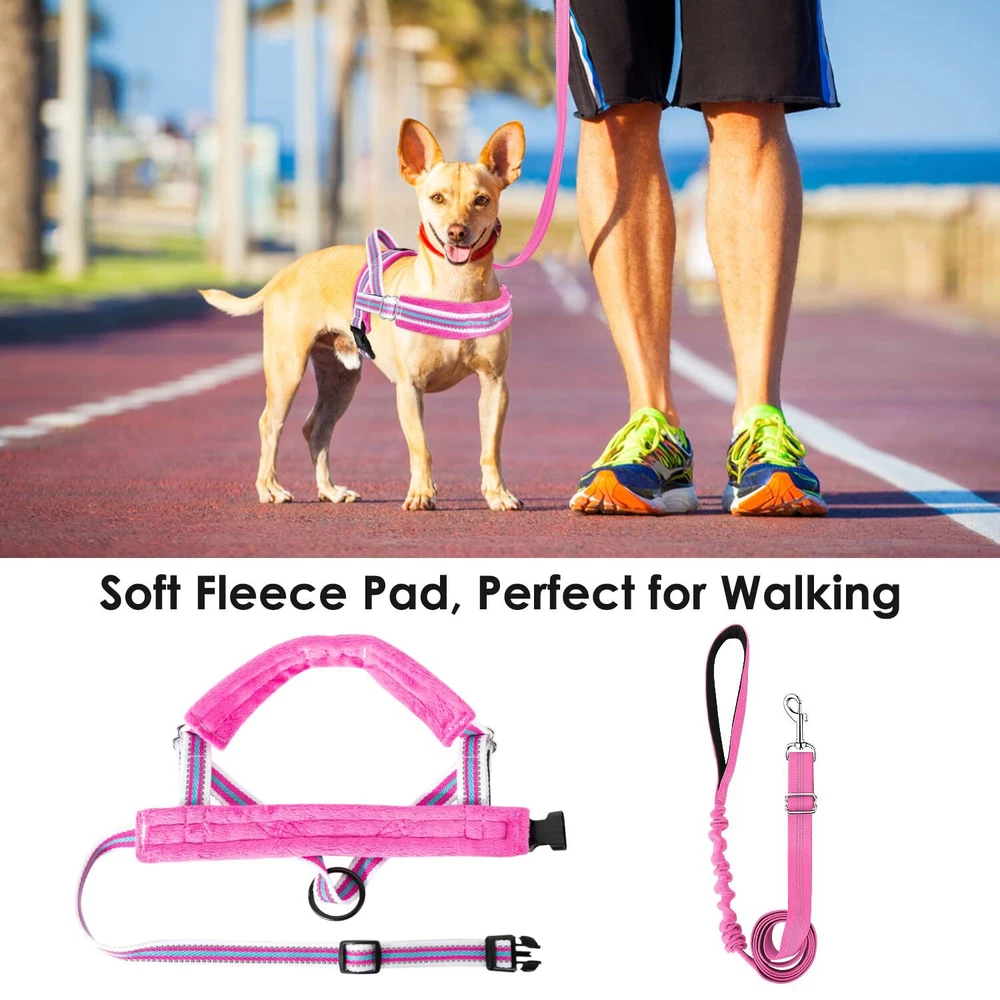 Dog Harness and Leash Set, Soft Padded Small Dog Harness, Neck & Chest Adjust...