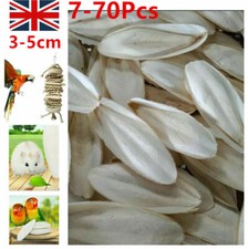 7-70Pcs Cuttlebone Cuttlefish Bone Sepia Cuttle Fish Pet Bird Food Calcium UK