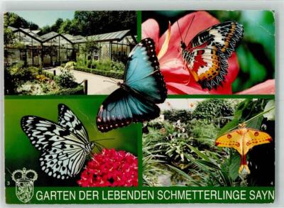 39711955 - 5413 Bendorf Schlosspark Schmetterlinge Gebrauchsspuren