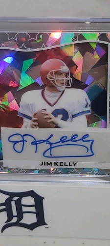 Independence Day AUTO 3/4 TROY POLAMALU SILBER KRISTALL POPSCICLE - Bild 2 von 4