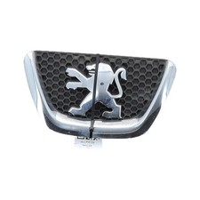 Calandre Peugeot 307
