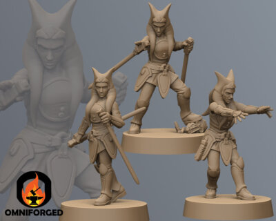 Rebel Mistress Star Wars Legion Shatterpoint Anvilrage 3D Printed Mini Miniature