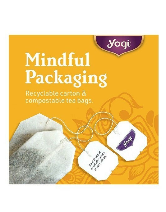 3 boxes Organic YOGI TEA!!!! Echinacea IMMUNE SUPPORT!!!!. Fast Free shipping!!!