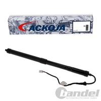 Ackoja Elektrischer Heckklappen Lifter Rechts Passend FüR Toyota RAV | A70-55-00