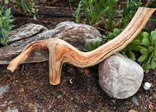 Large Manzanita Driftwood 28" Reptile Habitat Aquascaping Home Decor