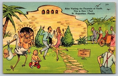 Vintage Postcard, Young Again, St. Augustine Florida