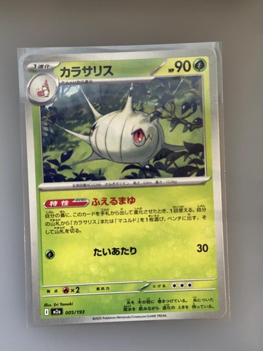 Silcoon 005/193 MEGA Dream ex Pokemon Japanese NM/M