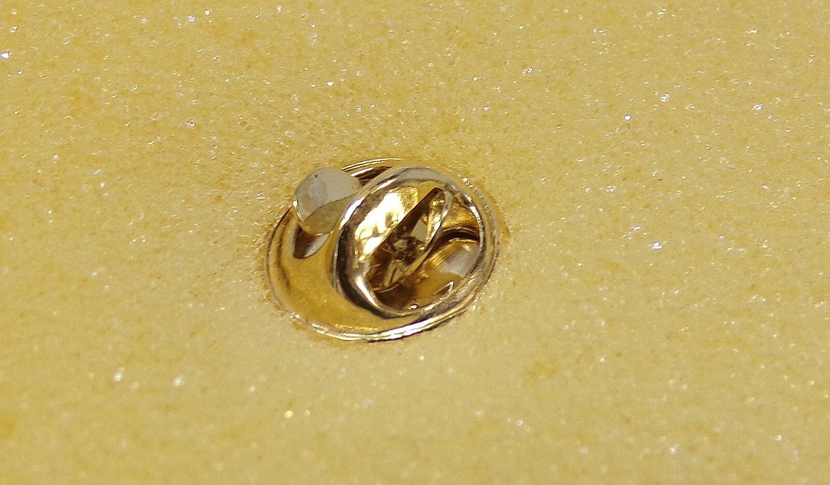 SWAROVSKI gold-plated swan pin brooch with colorful crystals  NIB Swarovski Vintage Swan Tac Pin main image 1