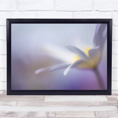 Blumenzärtlichkeit weich lila Makro Bokeh Sommer sanft zart Wandkunstdruck