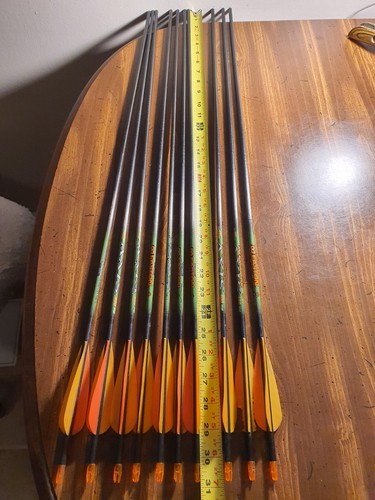 Easton AXIS 400 10 ARROWS 30.5 Inches