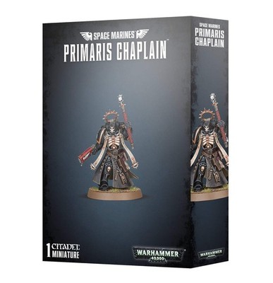 Space Marines: Primaris Chaplain