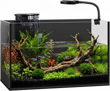 2 Gallon Small Fish Tank with Light and Filter Desktop Aquarium Starter Kit  Be