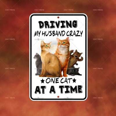 Driving Husband Crazy Cat Sign funny novelty home room wall art gift decor A2850
